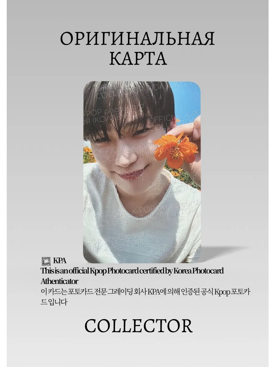 ОФІЦІЙНА K-pop картка Сону ENHYPEN ORANGE BLOOD (WEVERSE) (сіра)