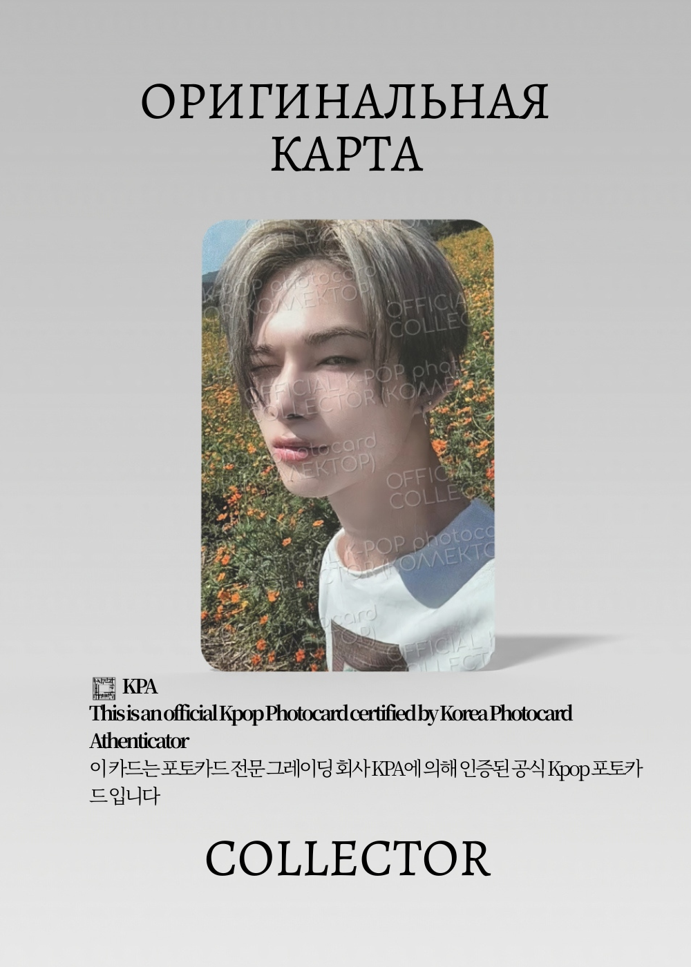 Ники ENHYPEN ORANGE BLOOD | WEVERSE Ресми K-pop фотокартасы
