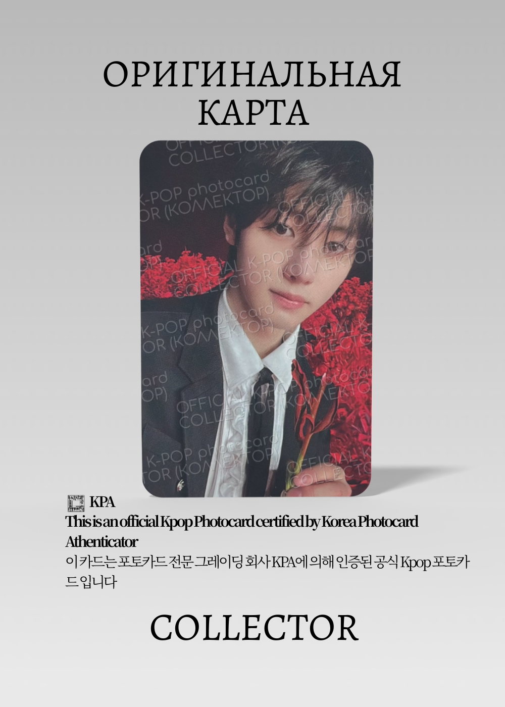 Сонхун ENHYPEN DARK BLOOD | Альбомная Официальная K-pop фотокарта