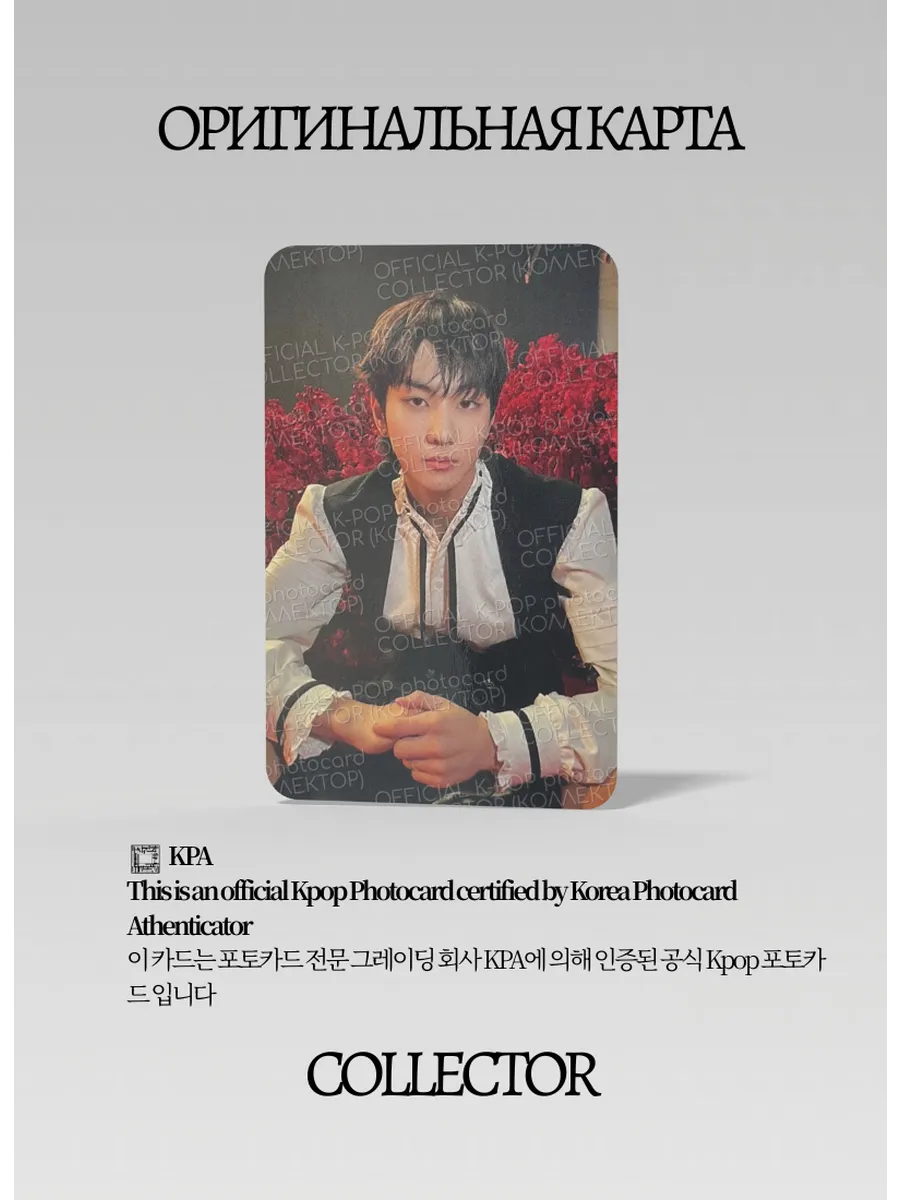 Чонвон ENHYPEN DARK BLOOD | Альбомная Официальная K-pop фотокарта
