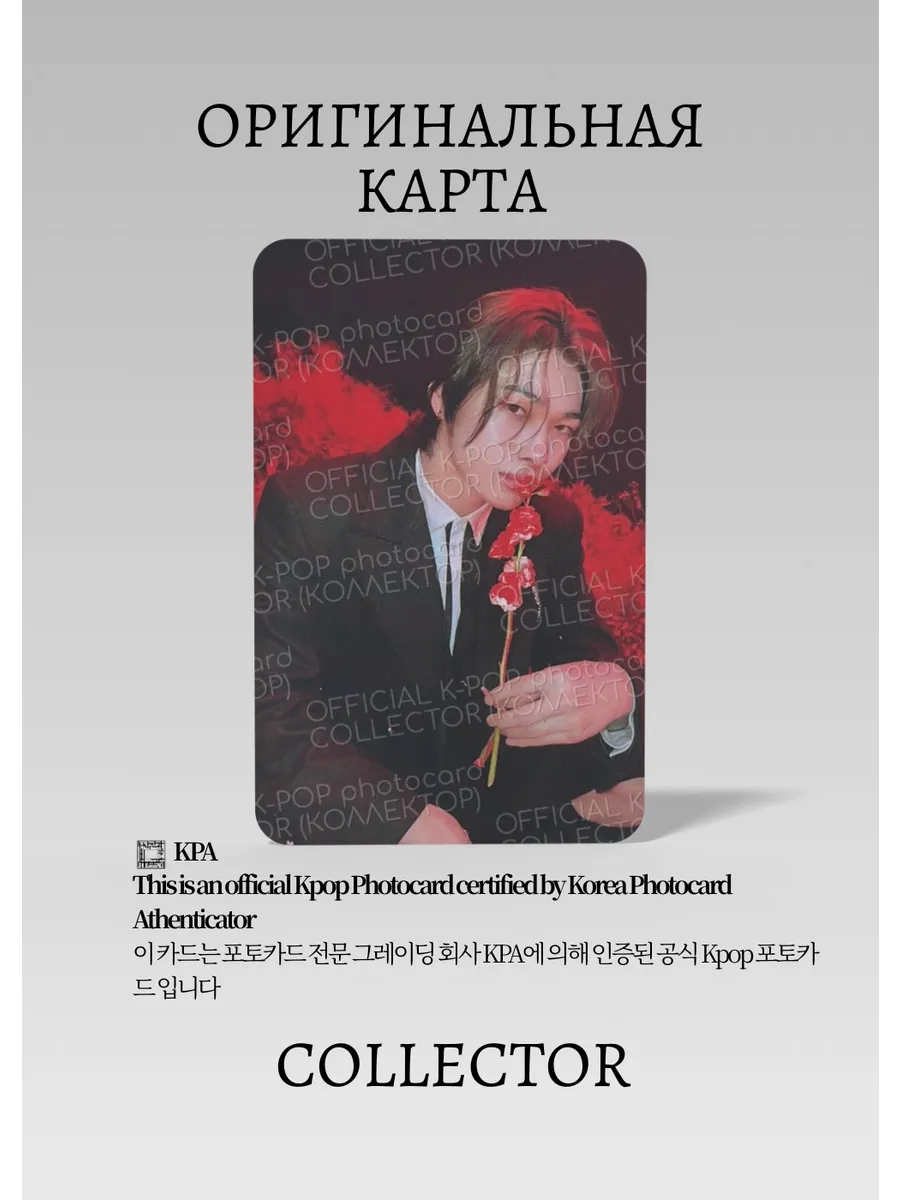 Ники ENHYPEN DARK BLOOD | Альбомная Официальная K-pop фотокарта