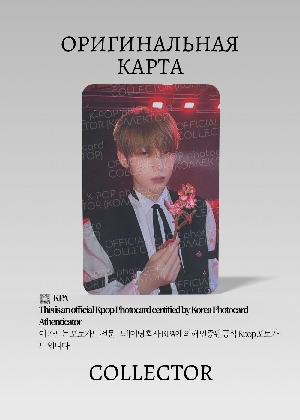 Сону ENHYPEN DARK BLOOD | Альбомная Официальная K-pop фотокарта